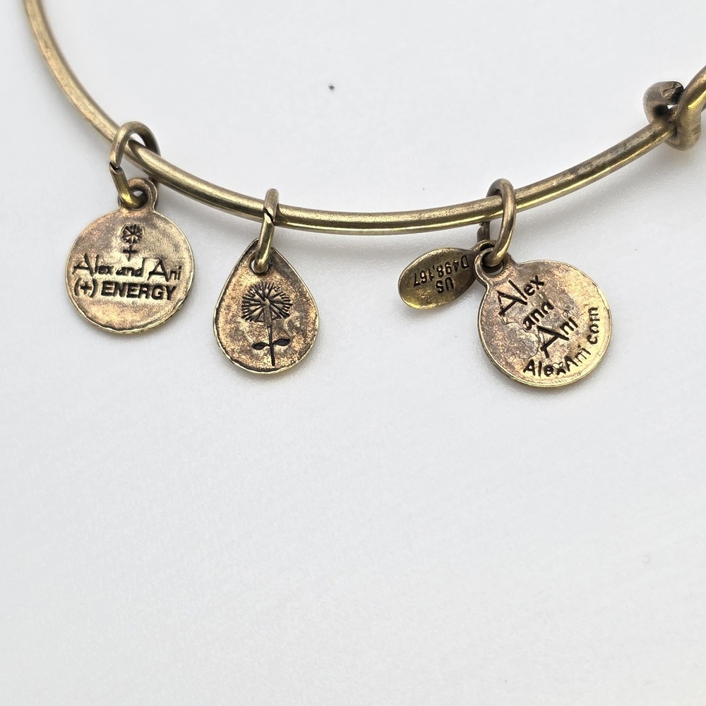 ALEX & ANI 'My Other Half' Charm Bracelet Rafaelian Gold Bangle Made In USA - Picture 6 of 9